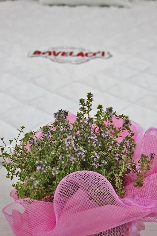 Boutique Hotel Paradiso Bovelacci Milano Marittima